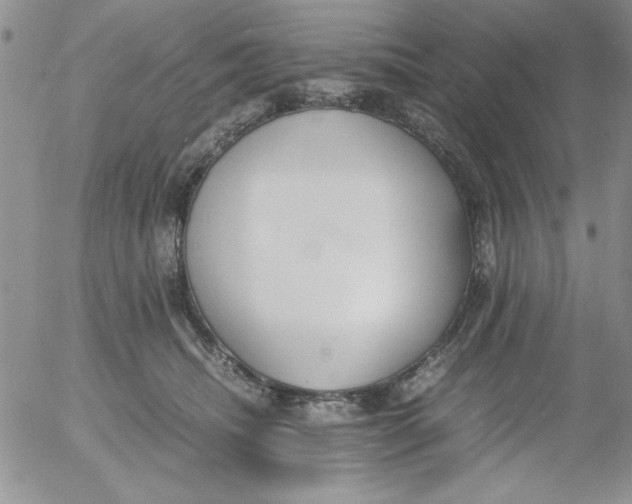 X0000055510468200509022102