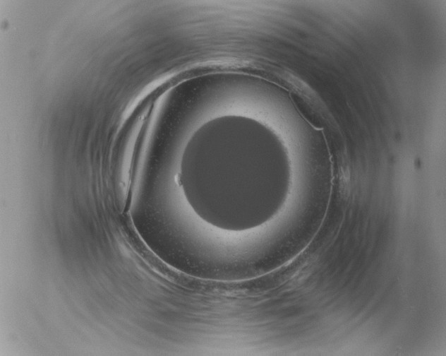 X0000055510484200509022102