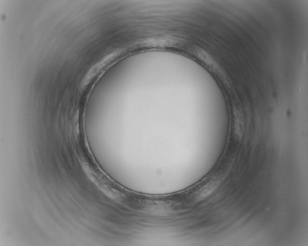 X0000055510486200509022102