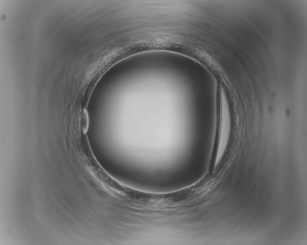 X0000055510493200509022102