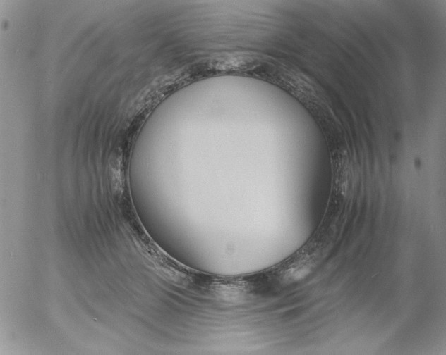X0000055510510200509022101