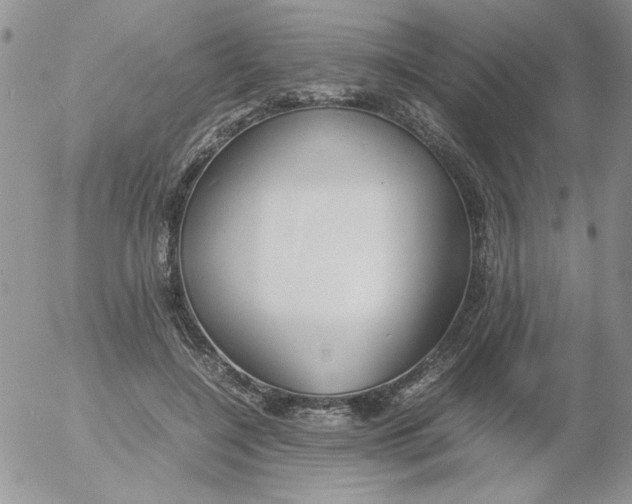 X0000055510548200509022100