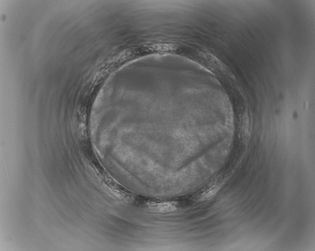 X0000055510553200509022101
