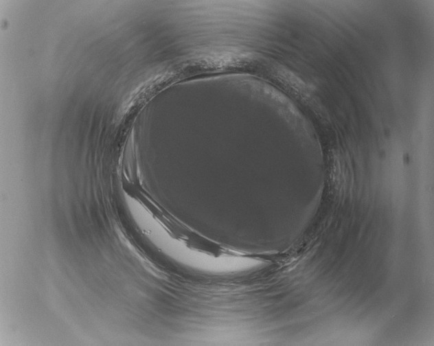 X0000055510590200509022100