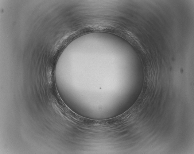X0000055510596200509022100