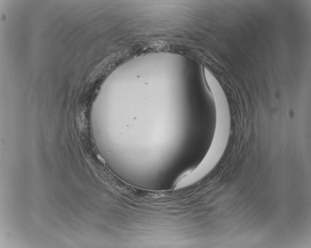 X0000055510611200509022100