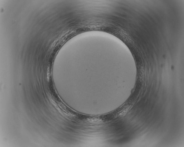 X0000055510644200509022059