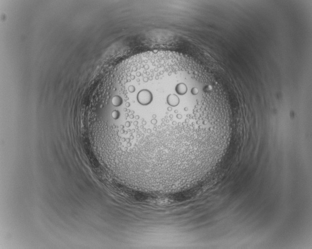X0000055510695200509022058