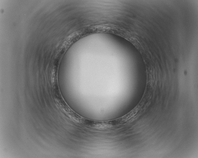 X0000055510708200509022058