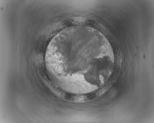 X0000055510711200509022058