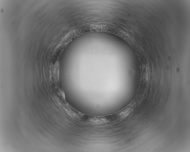 X0000055510712200509022058