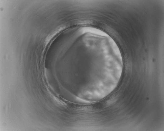 X0000055510721200509022057