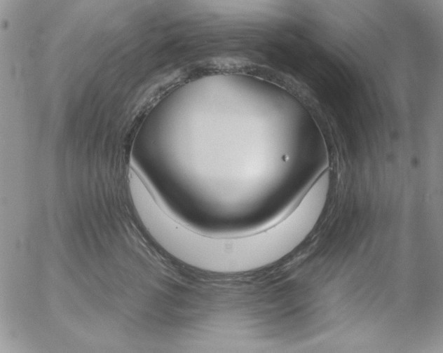 X0000055510762200509022058