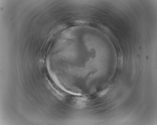X0000055510765200509022058
