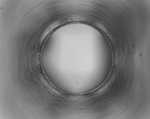 X0000055510786200509022056