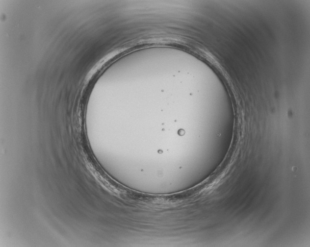 X0000055510787200509022056