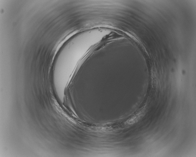 X0000055510790200509022056