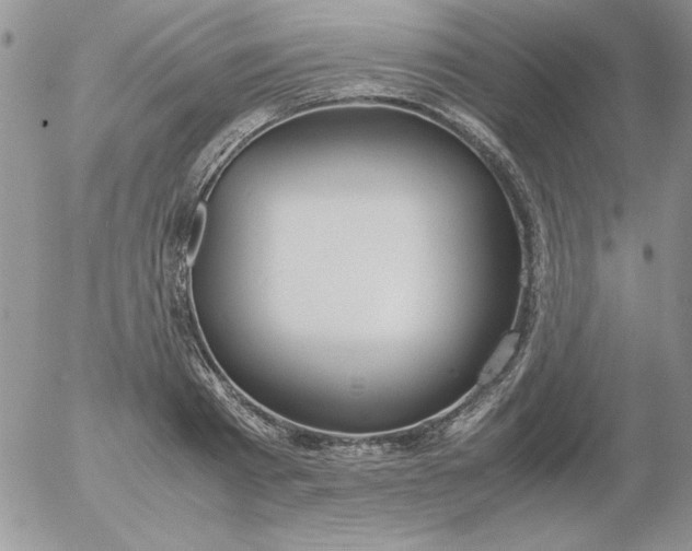 X0000055510793200509022056