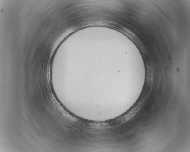 X0000055510804200509022056