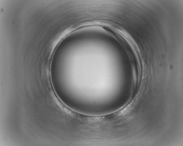 X0000055510813200509022056