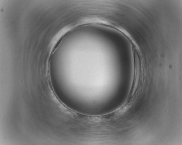 X0000055510815200509022056