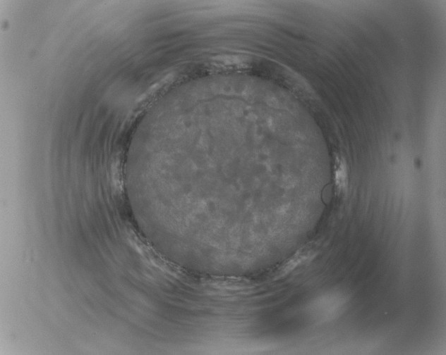 X0000055510819200509022055