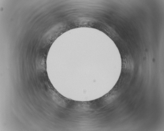 X0000055510820200509022055