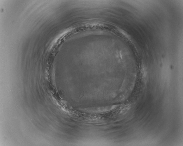 X0000055510823200509022055