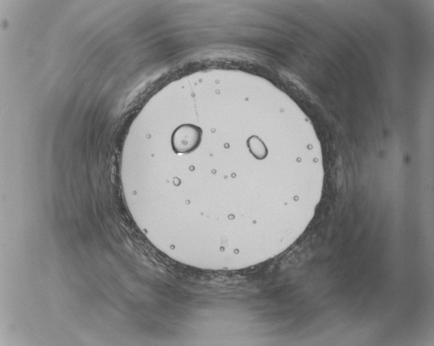 X0000055510824200509022055