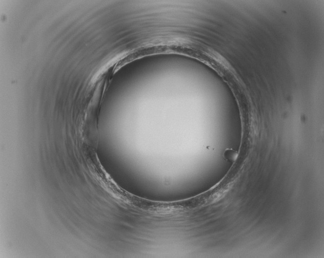 X0000055510826200509022055