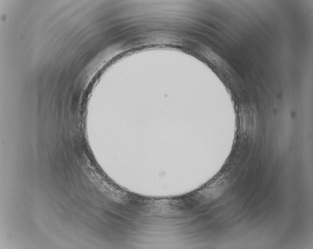 X0000055510828200509022055