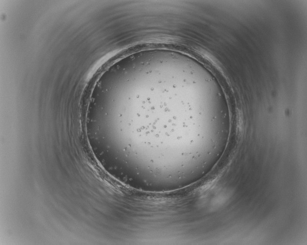 X0000055510829200509022055