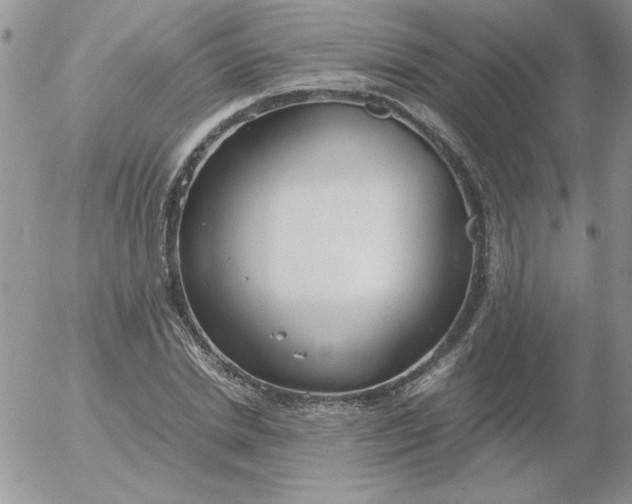 X0000055510830200509022055