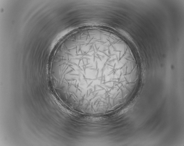 X0000055510831200509022055