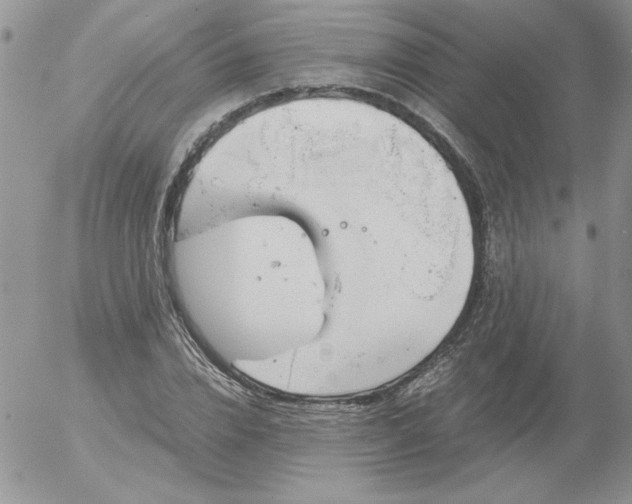 X0000055510832200509022055