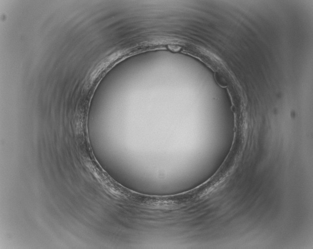 X0000055510833200509022055