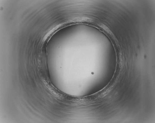 X0000055510834200509022055