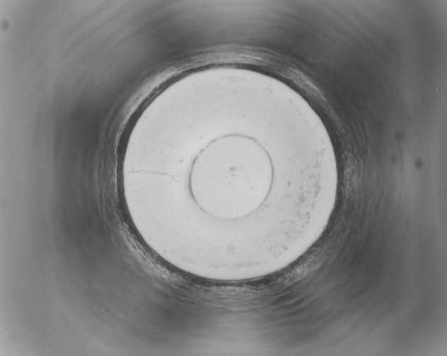 X0000055510836200509022055