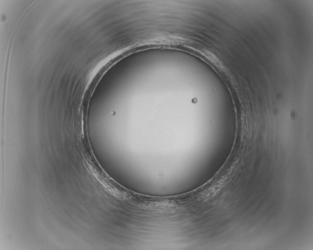 X0000055510838200509022055