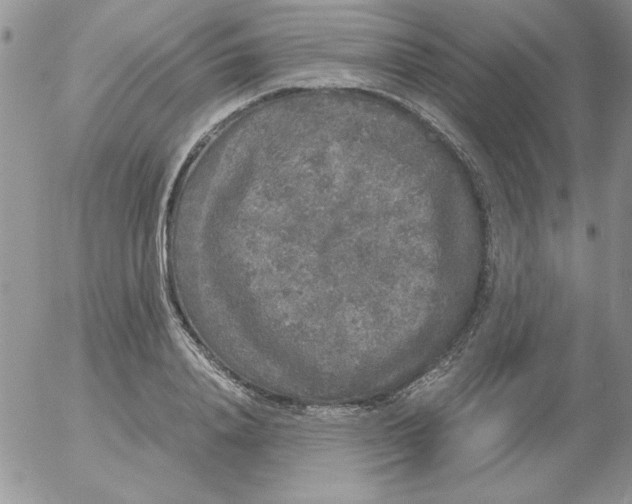 X0000055510840200509022055