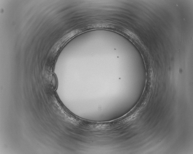 X0000055510841200509022056