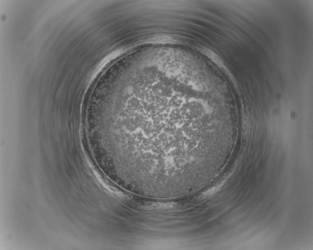 X0000055510845200509022056