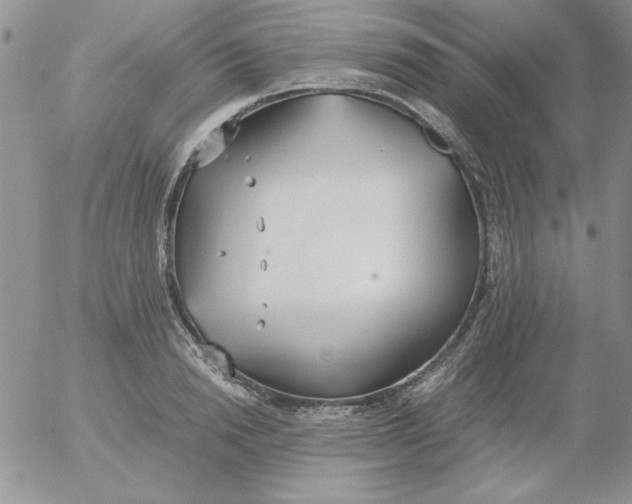 X0000055510846200509022056