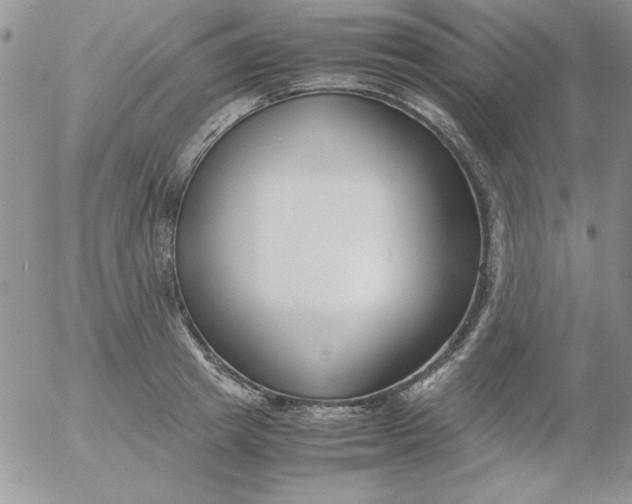 X0000055510849200509022056