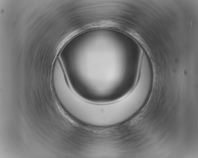 X0000055510850200509022056