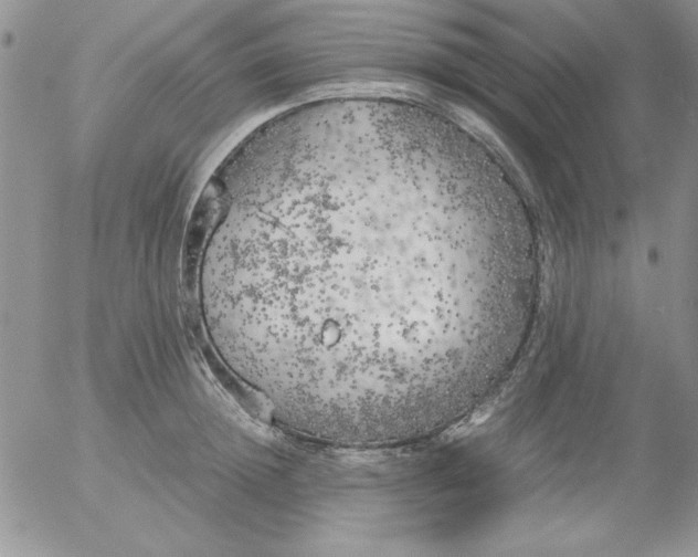 X0000055510852200509022056