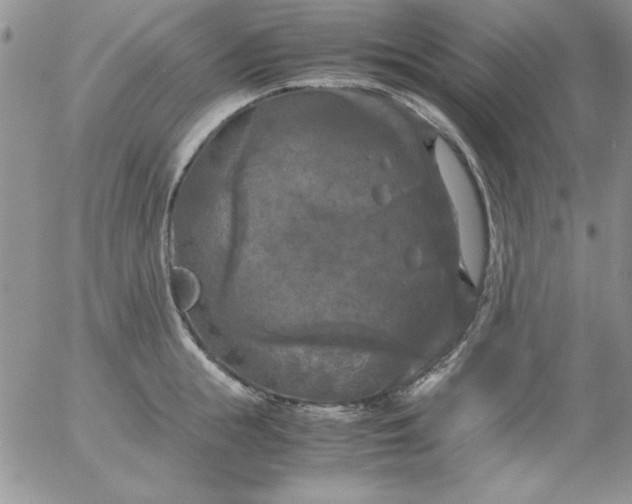 X0000055510855200509022056