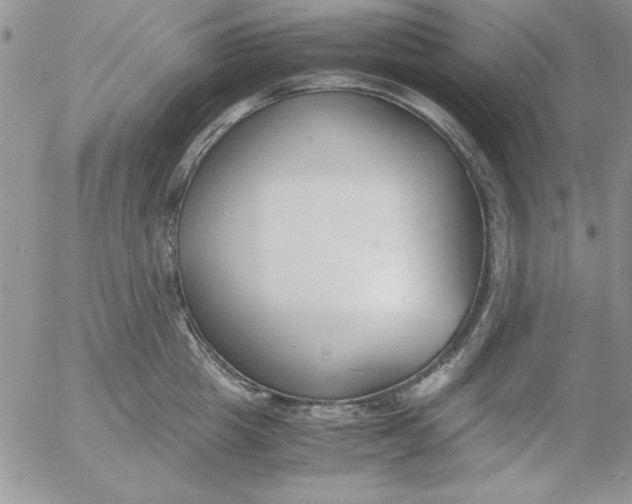 X0000055510857200509022056