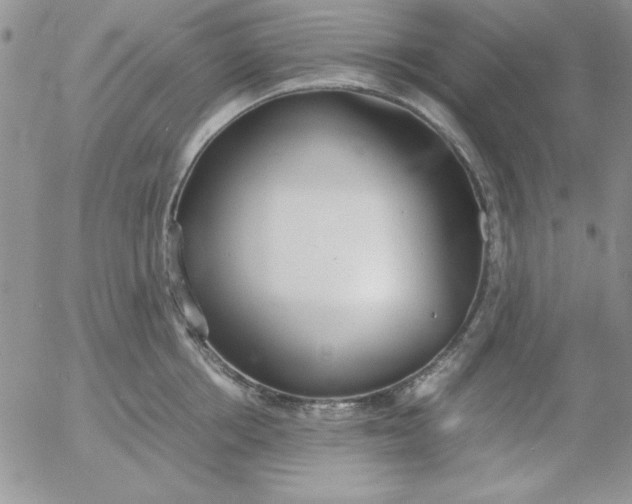 X0000055510858200509022056