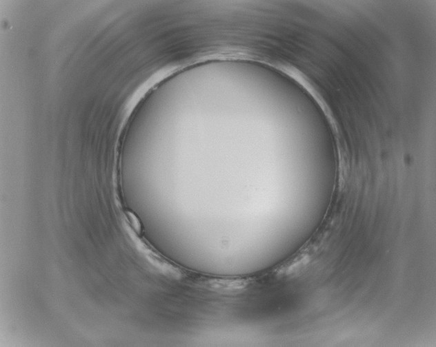 X0000055510861200509022056